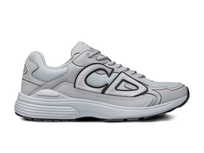 Dior B30 Gray Gray