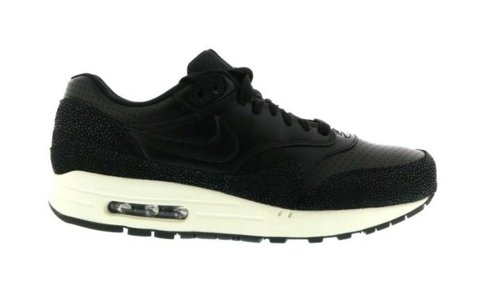 Nike Air Max 1 Stingray Pack