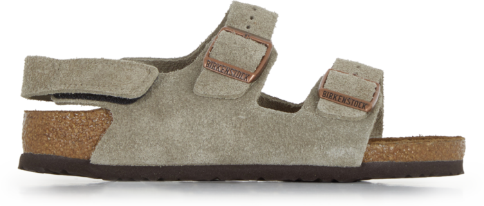 Birkenstock Milano Kids Suede Taupe