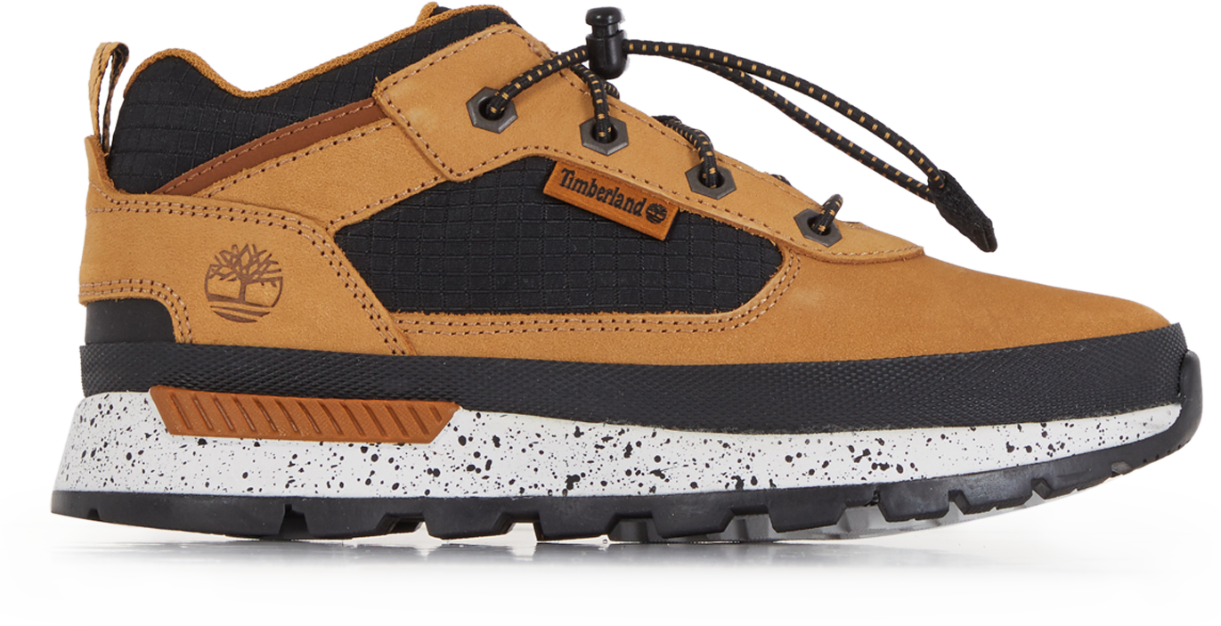 Timberland Field Trekker Low Marron/noir