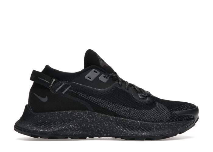 Nike Pegasus Trail 2 Gore-Tex Black Metallic Dark Grey (W)