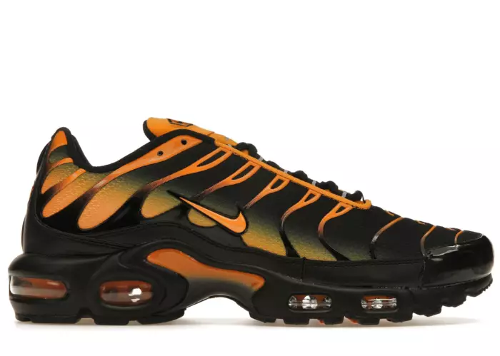 Nike Air Max Plus Black Sundial