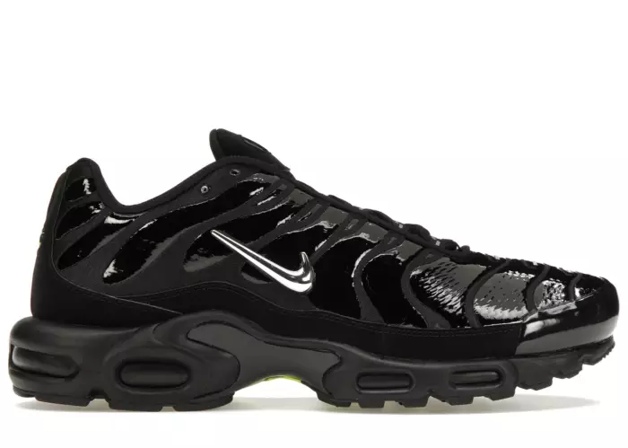 Nike Air Max Plus Black Chrome