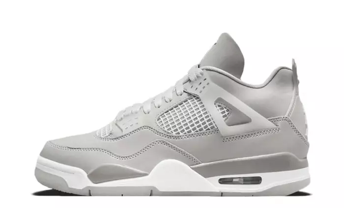 Air Jordan 4 SE Smoke Grey