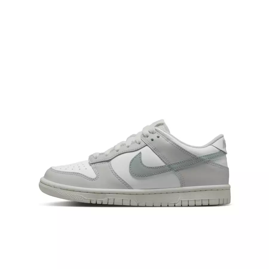 Nike-Dunk-Low-GS-Light-Silver-FB9109-109-0