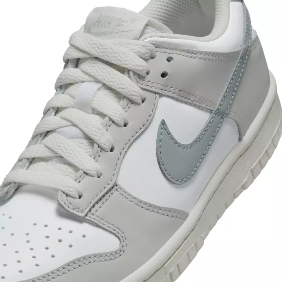Nike-Dunk-Low-GS-Light-Silver-FB9109-109-6