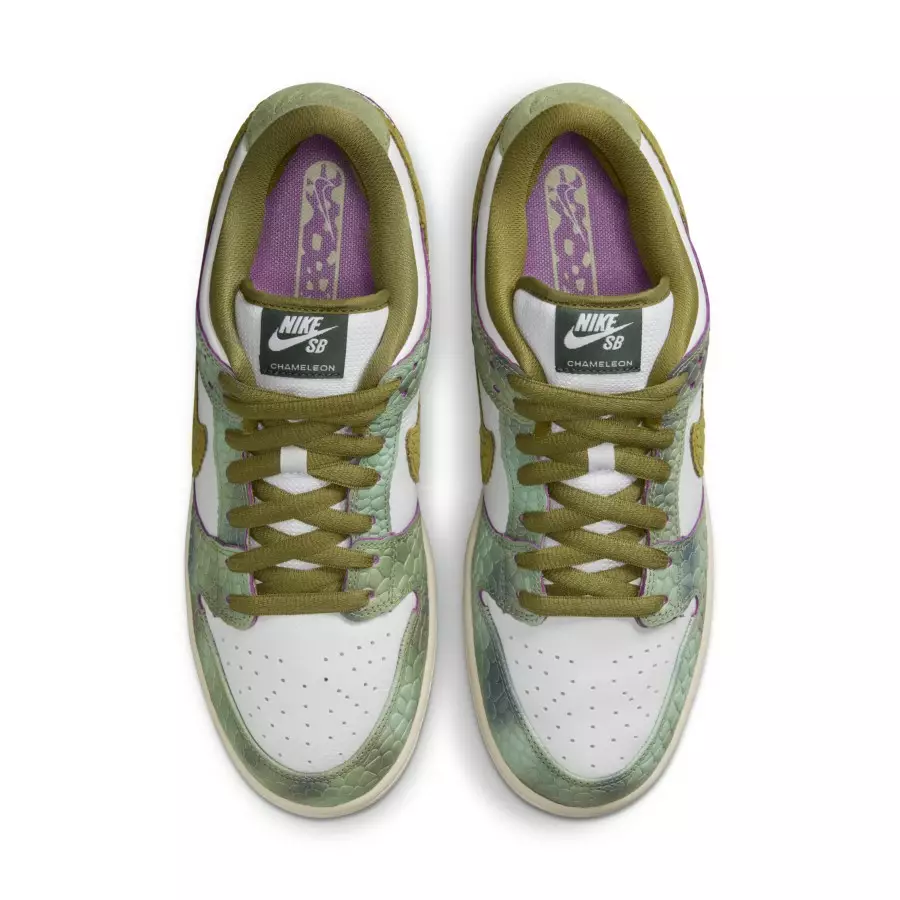 Alexis-Sablone-x-Nike-SB-Dunk-Low-HJ3386-300-3