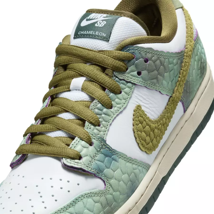 Alexis-Sablone-x-Nike-SB-Dunk-Low-HJ3386-300-6