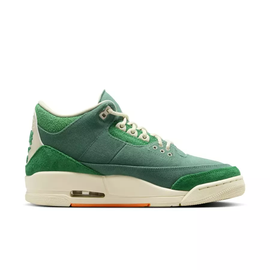 Nina-Chanel-Abney-x-Air-Jordan-3-FZ7974-300-2