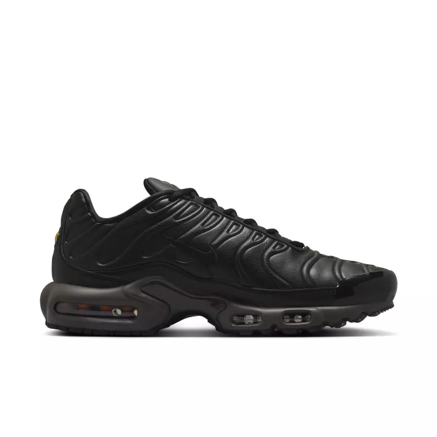 Nike-Air-Max-Plus-Black-Tea-HJ4519-200-2