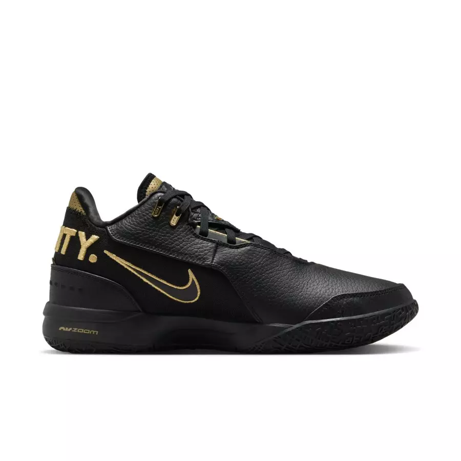 Nike-Zoom-LeBron-NXXT-Gen-Equity-FJ1566-103-2
