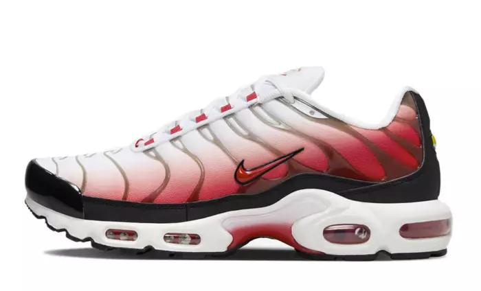 Nike TN Air Max Plus Gym Red HM9611 100