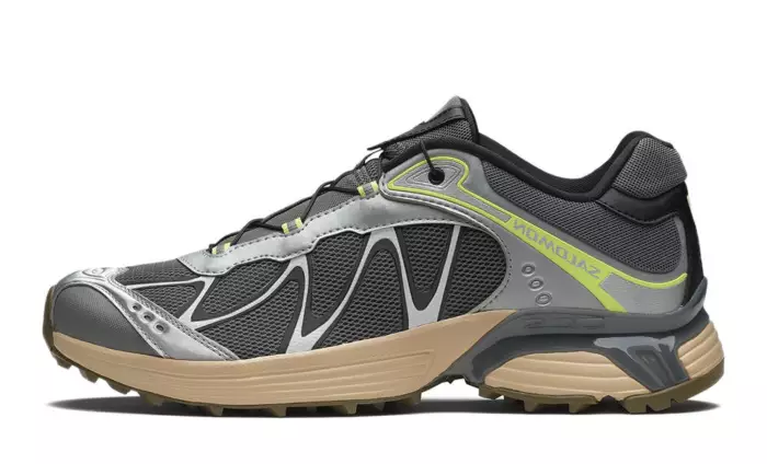 Salomon XT-Whisper Castlerock Silver