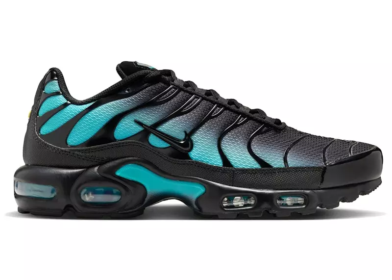 Nike Air Max Plus Black Dusty Cactus