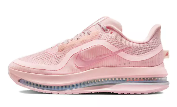 Nike Air Pegasus Premium Atmosphere