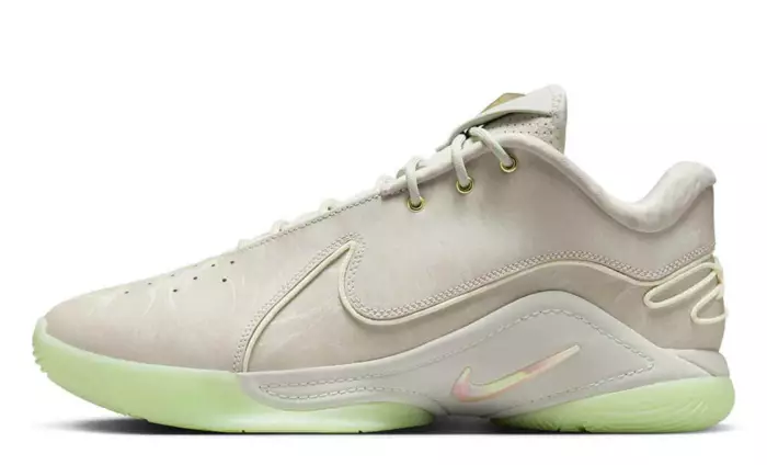 Nike LeBron 22 Dunkman