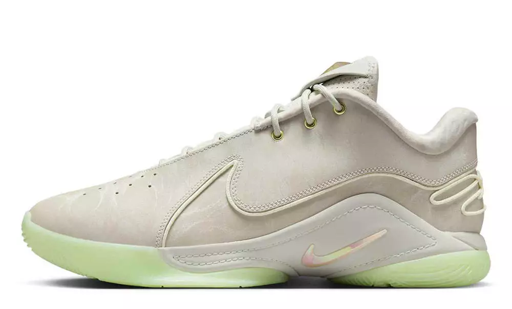 Nike LeBron 22 Dunkman