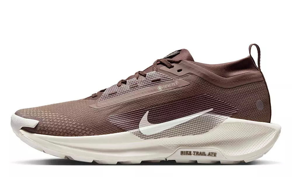 Nike Pegasus Trail 5 GORE-TEX Mink Brown Moon Particle