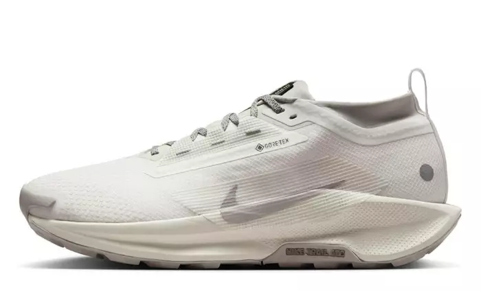 Nike Pegasus Trail 5 GORE-TEX SP White Light Bone
