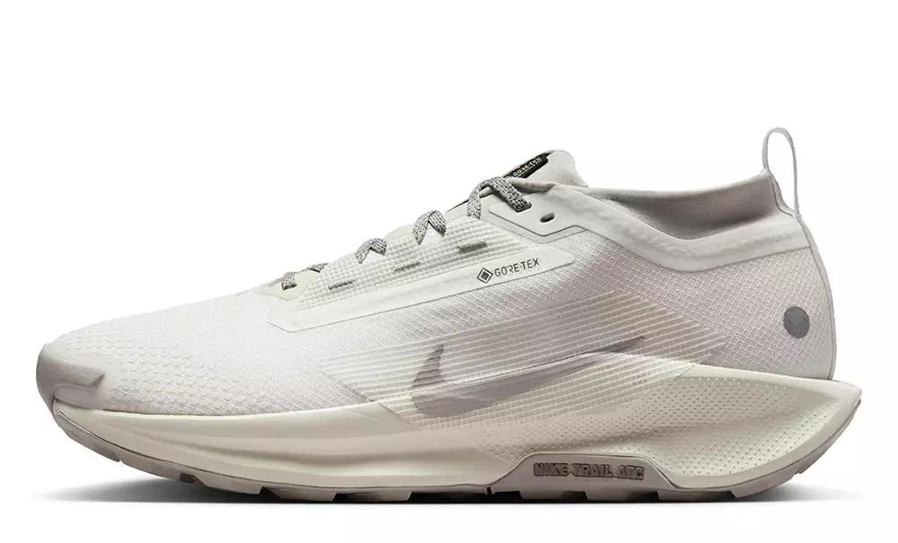 Nike Pegasus Trail 5 GORE-TEX SP White Light Bone