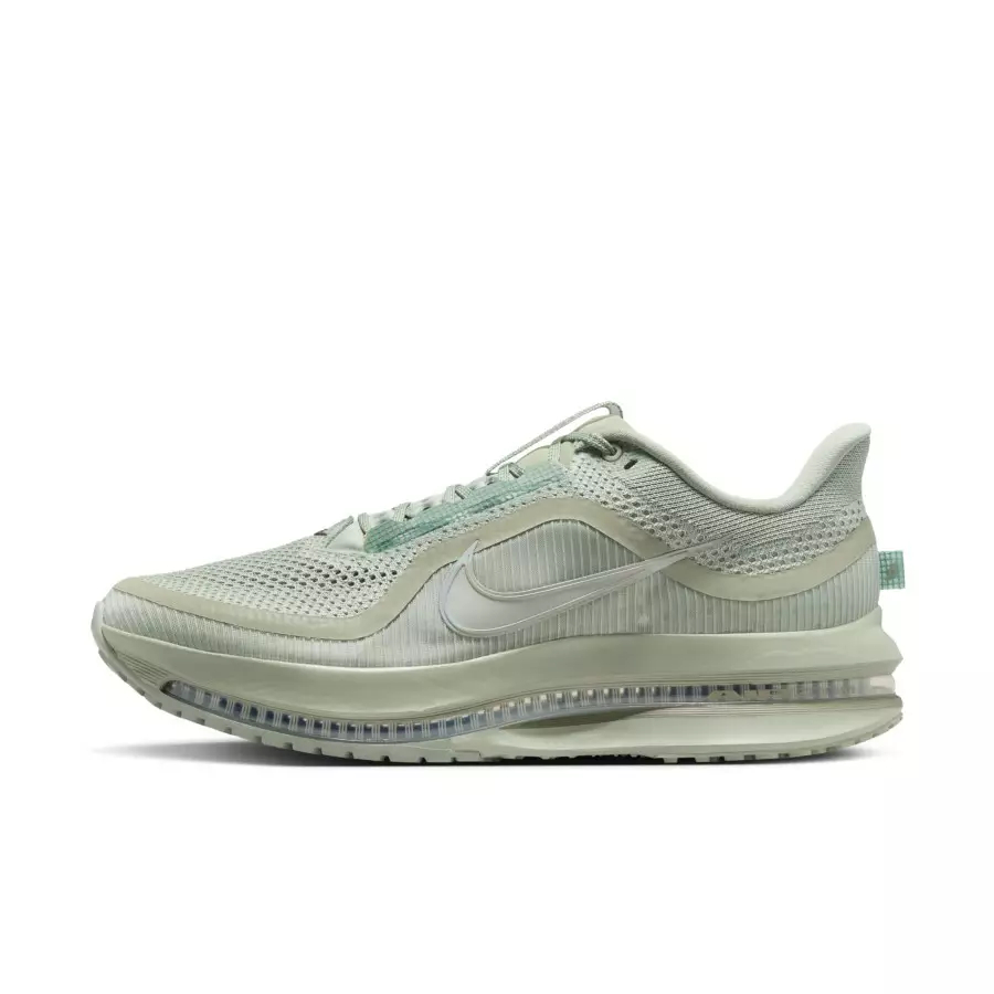 Nike-Pegasus-Premium-Jade-Horizon-HQ2592-300-0