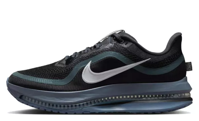 Nike Pegasus Premium Anthracite