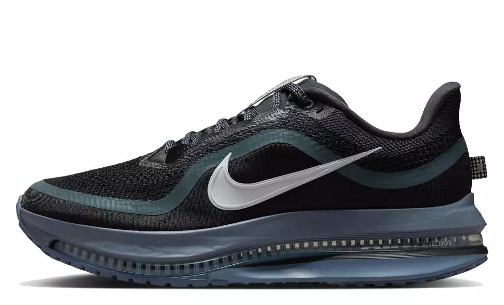 Nike Pegasus Premium Anthracite
