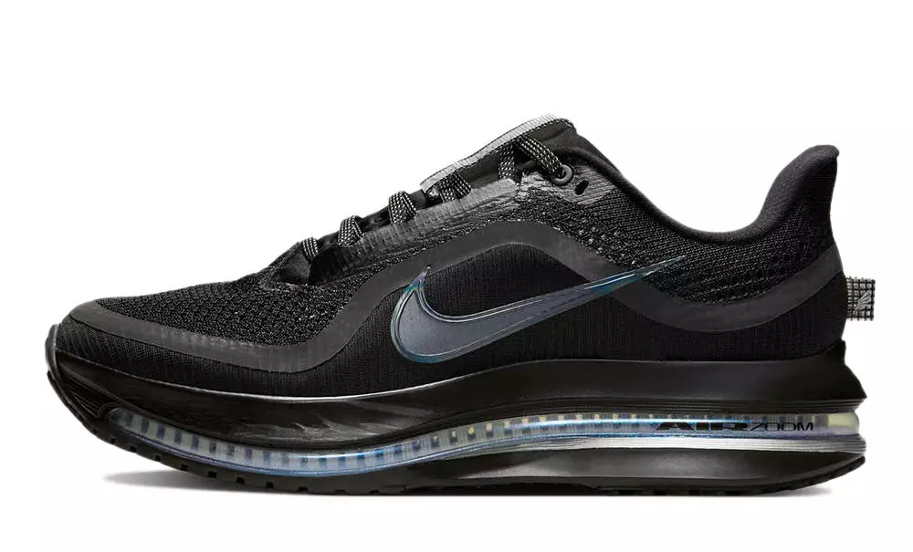 Nike Pegasus Premium Black