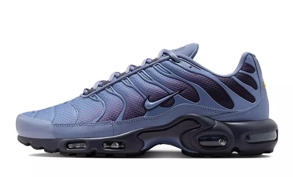 Nike TN Air Max Plus World Indigo