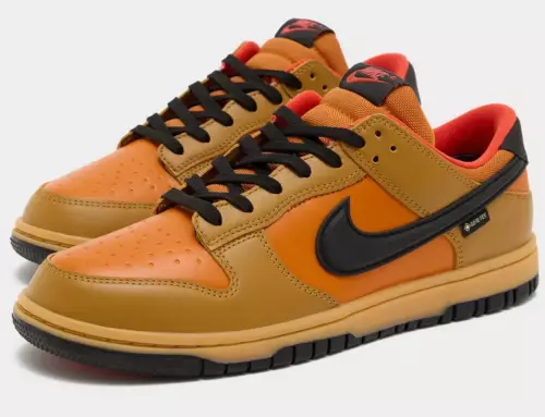 La Nike Dunk Low « Gore-Tex » se prépare pour l’automne